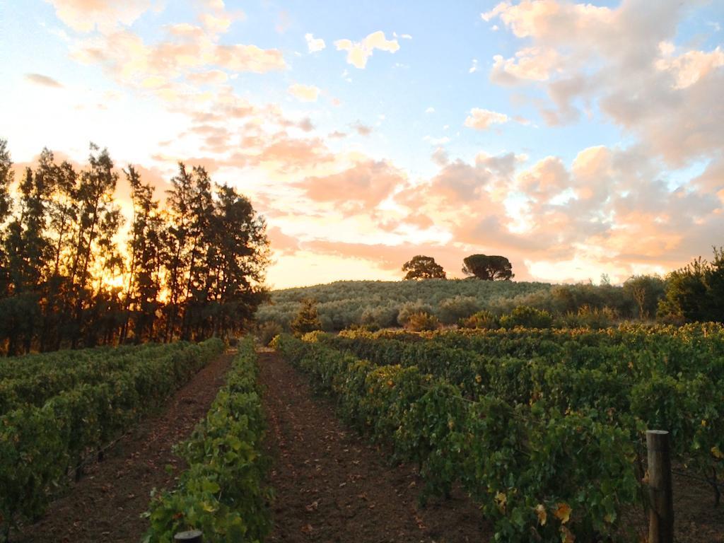 Calais Wine Estate Pension Paarl Buitenkant foto